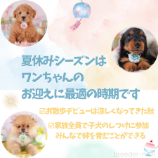 鈴木愛ブリーダー